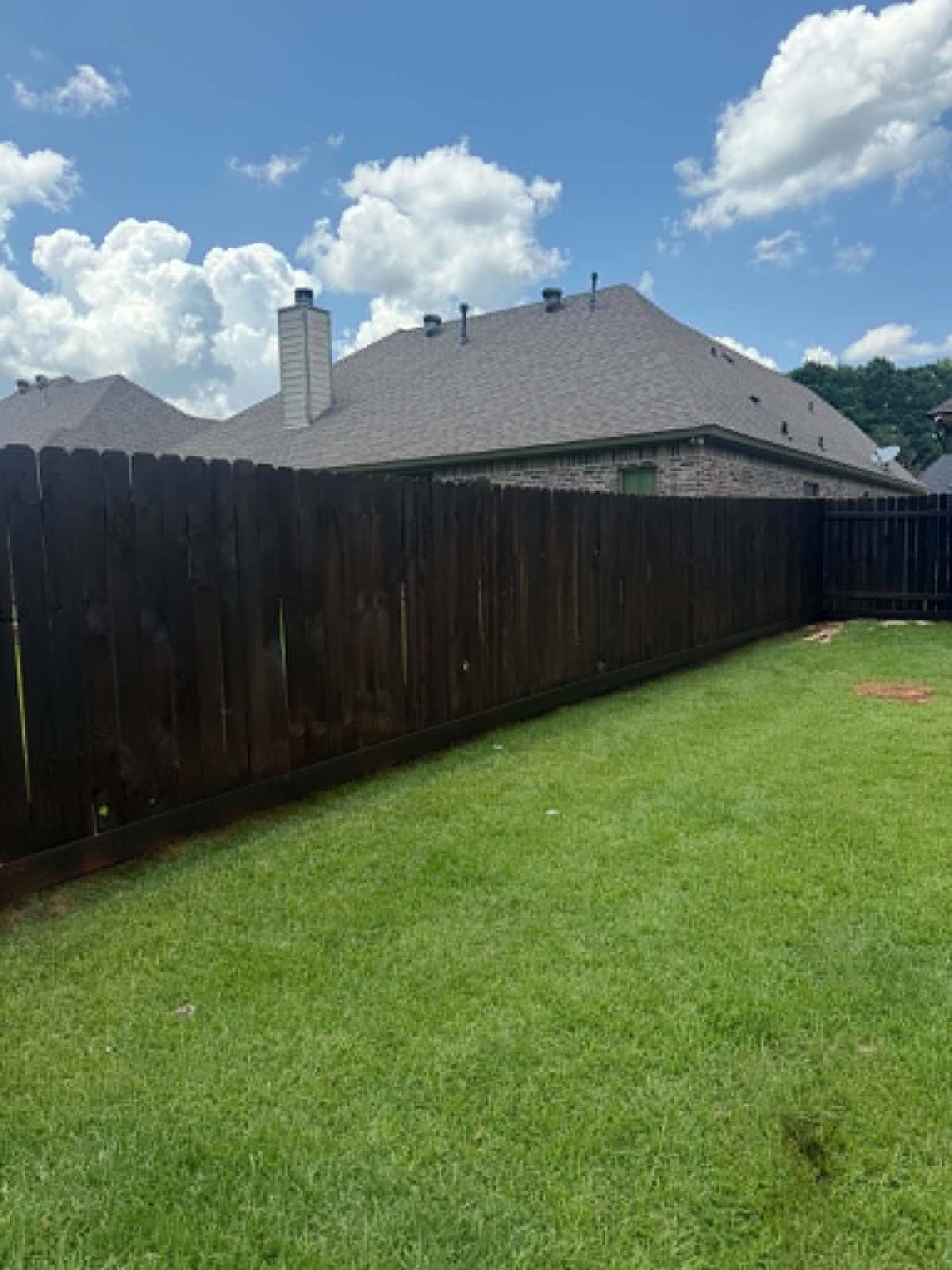 Backyard fence staining project — Shreveport Bossier City LA